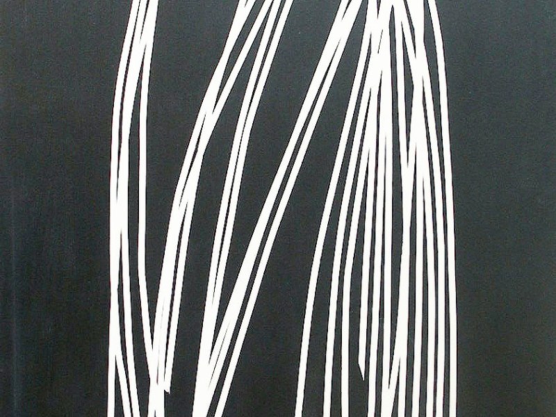 IL MONDO QUALE TUTTO&nbsp;LIMITATO